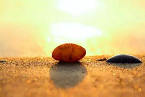 現實精辟的經典說說(50條) 現實精辟的經典說說(50條)