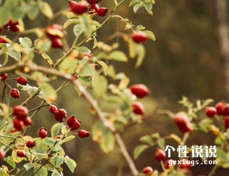 67條深刻有內(nèi)涵的經(jīng)典說(shuō)說(shuō)