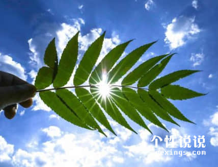 空間5月觸動心靈的經(jīng)典說說（53條）