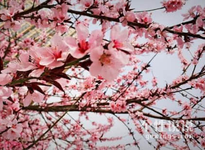 震撼到你心靈的經(jīng)典說說超現(xiàn)實(shí)（55條）