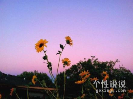 心靈雞湯勵志的經(jīng)典說說（55條）