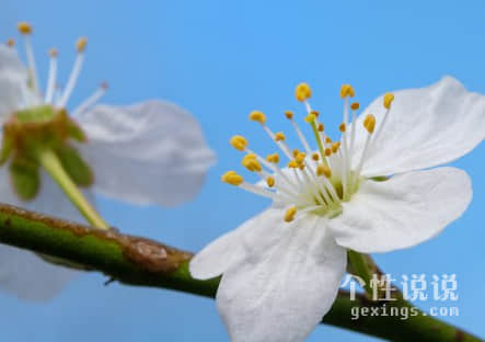 致更優(yōu)秀的自己 精辟入骨朋友圈超贊（44條）