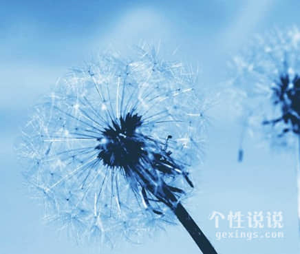 微信人生現(xiàn)實(shí)的經(jīng)典說(shuō)說(shuō)（50條）