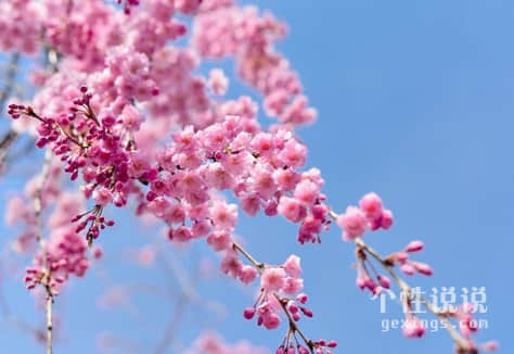 正能量有哲理的經(jīng)典說(shuō)說(shuō)（54條）