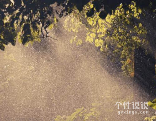 經(jīng)典說說人生哲言 有深度有品味的句子(57句) 經(jīng)典說說人生哲言 有深度有品味的句子(57句)