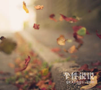 抖音爆紅深情告白說(shuō)說(shuō)：因?yàn)槲也恢溃乱惠呑邮欠襁€能遇見(jiàn)你