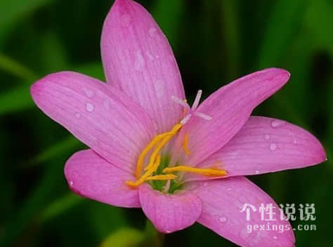 微信致自己正能量的經(jīng)典說(shuō)說(shuō)（43條）