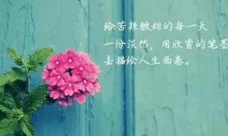 人生感悟句子經(jīng)典說說分享：哭給自己聽，笑給別人看，這就是所謂的人生