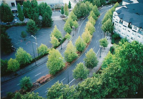 珍惜親情，友情不會長久 親情不必掛念 愛情不值一提