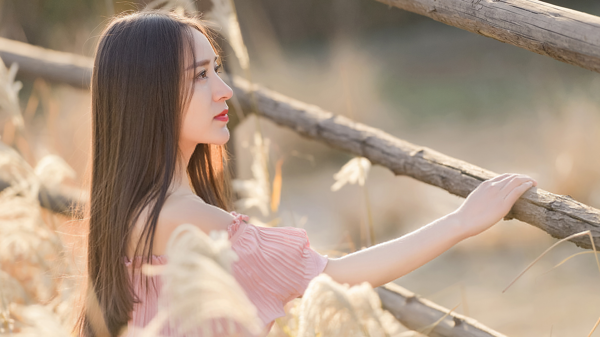 關(guān)于你和我的某些記憶即使磕磕絆絆依舊溫暖醇厚