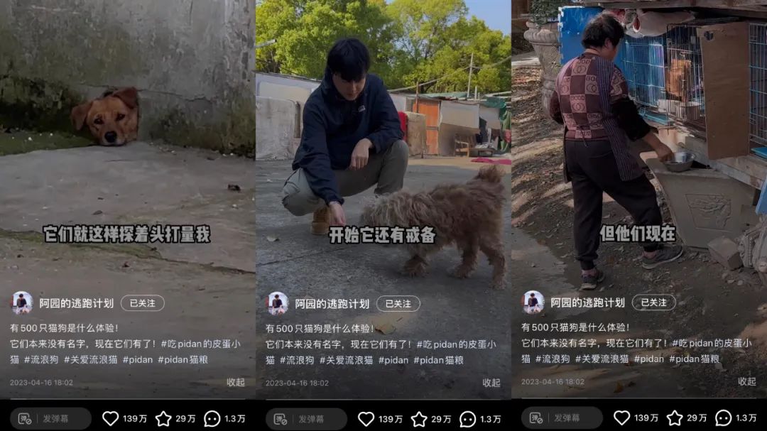 兩條廣告點(diǎn)贊破100萬(wàn)，他是2023年的爆款制造機(jī)