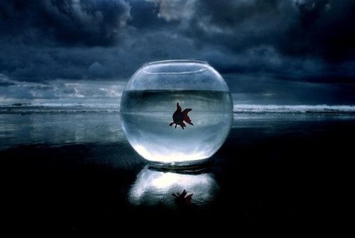 心累說說 生活從未變得輕松，是你在一點一點變得堅強