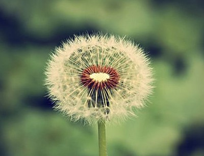 告別2019年喜迎2020年的經(jīng)典說說大全