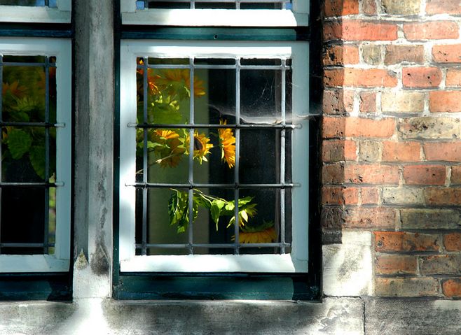 適合三月發(fā)的早安短語 值得收藏