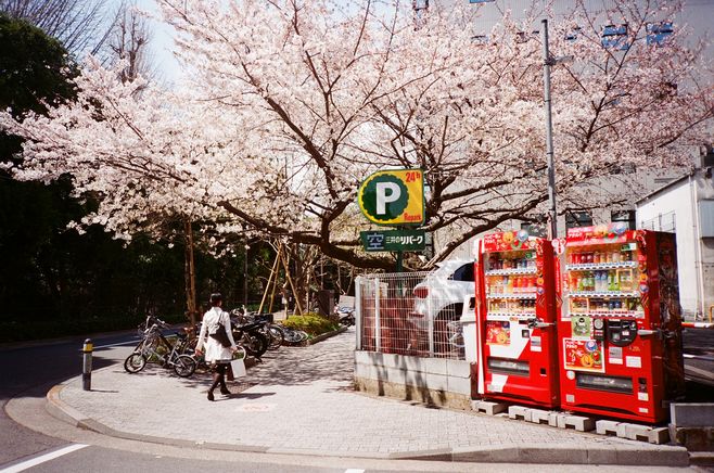 當(dāng)遺忘變成另一種開(kāi)始，淡了回憶，痛最真實(shí)