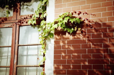 空間說說大全帶圖片 好看的說說圖片