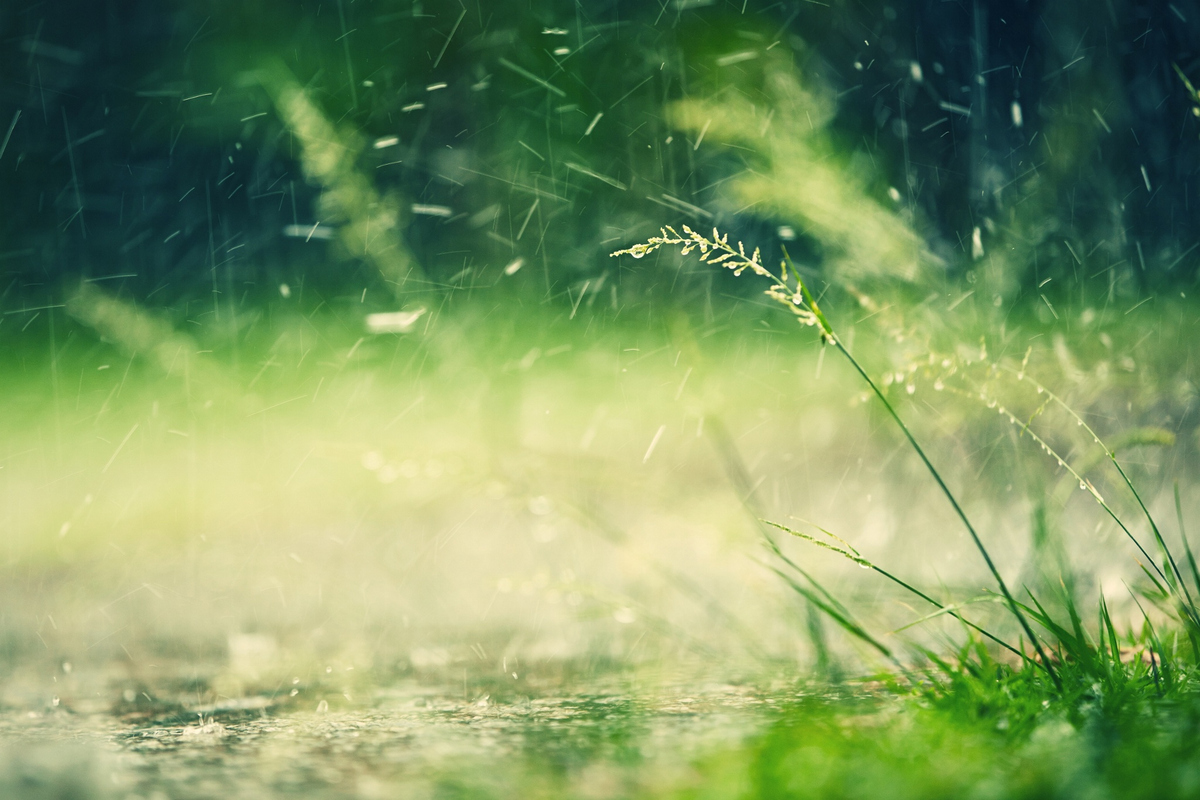 適合五四青年節(jié)發(fā)朋友圈的勵志簽名句子