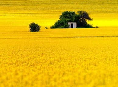 好懷念小時候左手辣條右手冰棒的日子