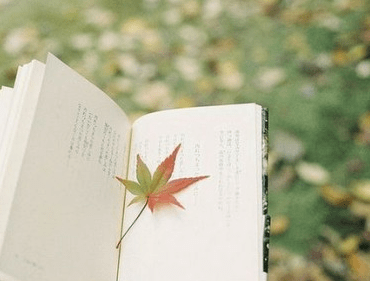 傷感說(shuō)說(shuō):對(duì)他念念不忘,說(shuō)不出是驚喜還是心痛