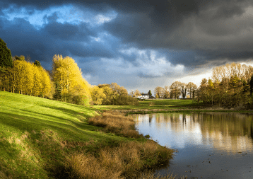 抖音最火單身狗過情人節(jié)的傷感說活 祝你歲月無波瀾，敬我余生不悲歡