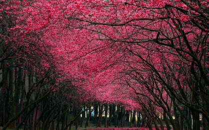 痛到心碎無(wú)法自拔的傷感說(shuō)說(shuō)大全