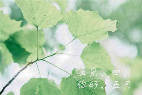 一個(gè)人說說看完哭了那種（74條）	