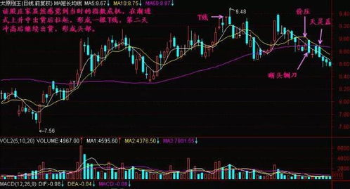股票入門基礎(chǔ)知識(shí)t1