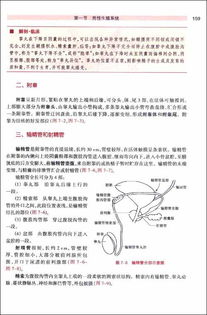 職業(yè)測試人體解剖學(xué)基礎(chǔ)知識