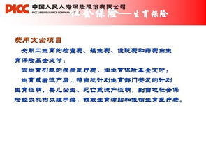 關(guān)于協(xié)管員的基礎(chǔ)知識及常識,社保協(xié)管員是什么工作,村委社保協(xié)管員待遇