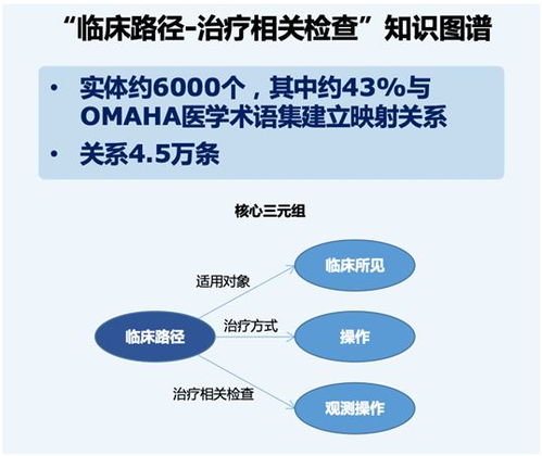 臨床路徑的基礎(chǔ)知識(shí)