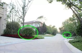 綠化種植的基礎知識