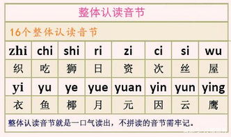漢語拼音部分基礎(chǔ)知識測試,小學(xué)漢語拼音基礎(chǔ)知識,漢語拼音初學(xué)入門基礎(chǔ)知識