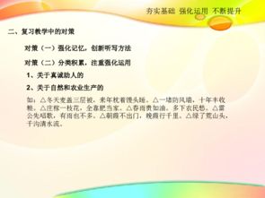 夯實(shí)基礎(chǔ)知識(shí)提高語(yǔ)文