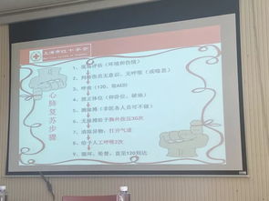 急救,基礎(chǔ)知識,培訓計劃