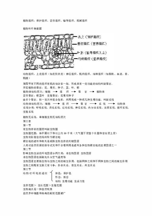 七上生物濟(jì)南版基礎(chǔ)知識總結(jié)