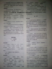 基礎(chǔ)知識,八級,語文,答案