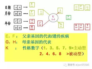 數(shù)字能量表基礎(chǔ)知識