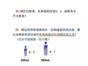 六下比例基礎(chǔ)知識