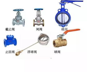 排水執(zhí)法基礎知識