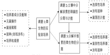 養(yǎng)殖的基礎知識,皮膚管理基礎知識,水產(chǎn)養(yǎng)殖基礎知識