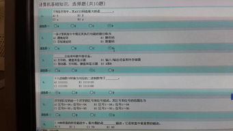 大一計(jì)算機(jī)基礎(chǔ)知識