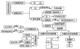 18體基礎知識