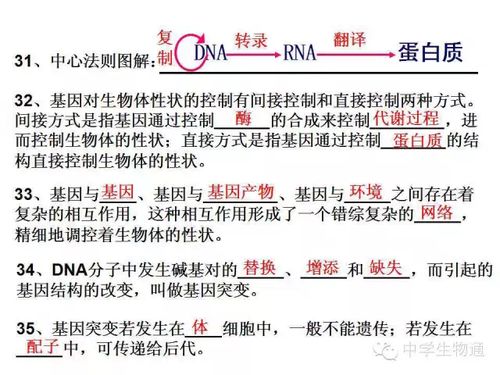 基礎(chǔ)知識(shí),心理