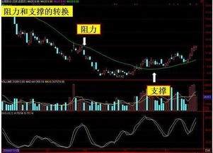 劉博倫均線基礎(chǔ)知識