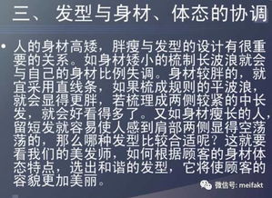 發(fā)型美學(xué)基礎知識