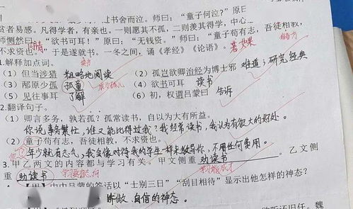 如何夯實(shí)小學(xué)生的語(yǔ)文基礎知識