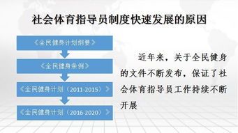 體育相關(guān)基礎(chǔ)知識