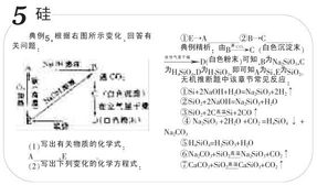 推斷題基礎(chǔ)知識