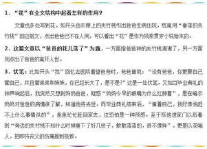 初一語文上冊基礎(chǔ)知識大全書多少錢一本,初一語文基礎(chǔ)知識大全匯總,初一語文上冊基礎(chǔ)知識訓(xùn)練