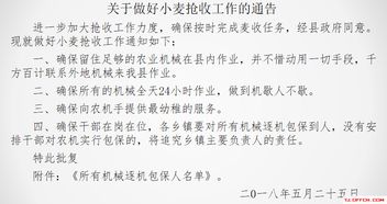 糾錯,基礎(chǔ)知識,公文
